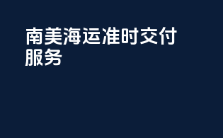 南美海运准时交付服务