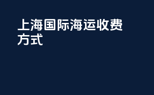 上海国际海运收费方式