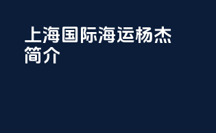 上海国际海运杨杰简介