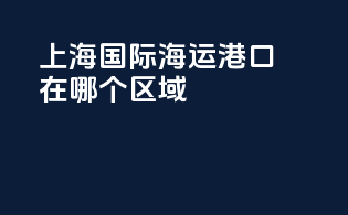 上海国际海运港口在哪个区域