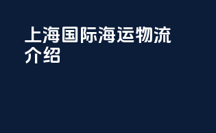 上海国际海运物流介绍