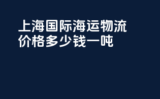 上海国际海运物流价格多少钱一吨