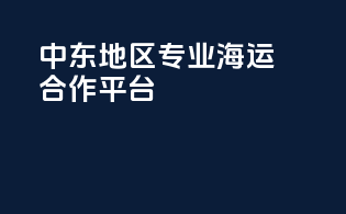 中东地区专业海运合作平台