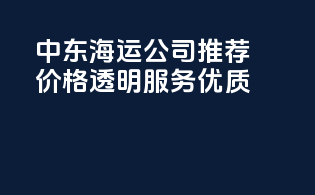 中东海运公司推荐：价格透明，服务优质