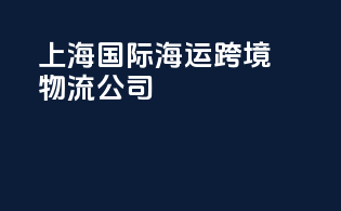 上海国际海运跨境物流公司