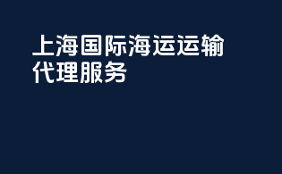 上海国际海运运输代理服务
