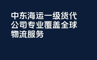 中东海运一级货代公司，专业覆盖全球物流服务