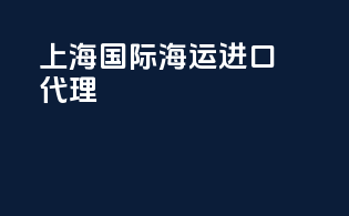上海国际海运进口代理