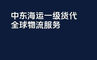 中东海运一级货代，全球物流onestop服务