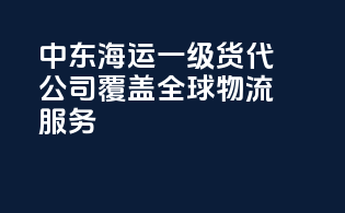 中东海运一级货代公司，覆盖全球物流服务