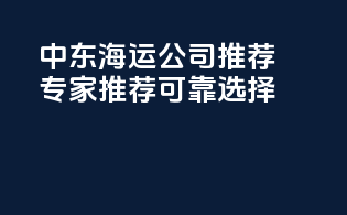 中东海运公司推荐：专家推荐，可靠选择