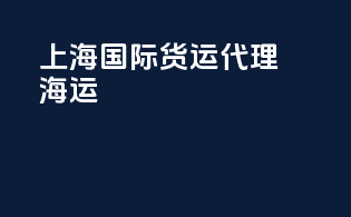 上海国际货运代理海运