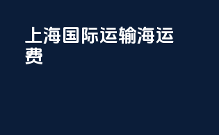 上海国际运输海运费