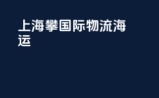 上海攀国际物流海运