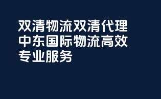 双清物流双清代理，中东国际物流高效专业服务