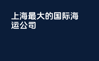 上海最大的国际海运公司