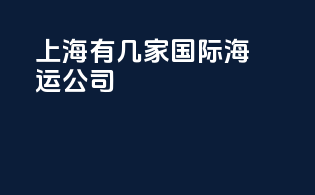 上海有几家国际海运公司