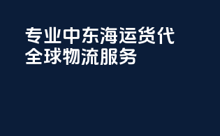 专业中东海运货代，全球物流onestop服务