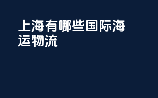 上海有哪些国际海运物流