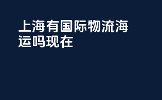 上海有国际物流海运吗现在