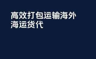 高效打包运输，海外海运货代