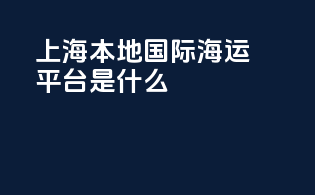 上海本地国际海运平台是什么