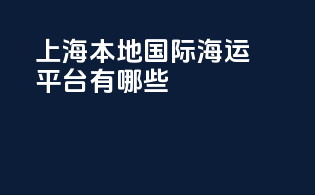 上海本地国际海运平台有哪些
