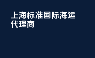 上海标准国际海运代理商