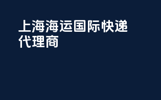 上海海运国际快递代理商