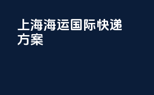上海海运国际快递方案