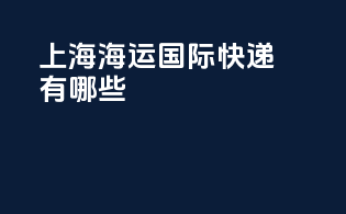 上海海运国际快递有哪些