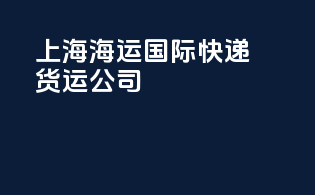 上海海运国际快递货运公司