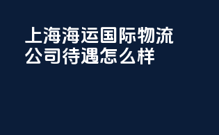 上海海运国际物流公司待遇怎么样