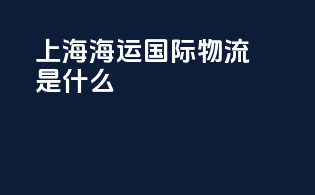 上海海运国际物流是什么