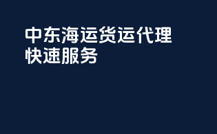 中东海运货运代理快速服务