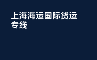 上海海运国际货运专线