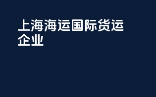 上海海运国际货运企业