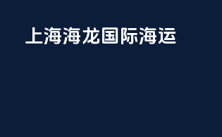 上海海龙国际海运
