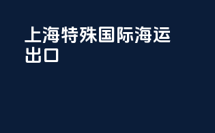 上海特殊国际海运出口