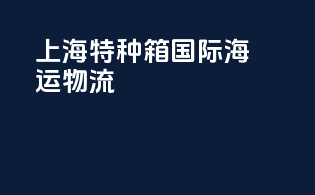 上海特种箱国际海运物流