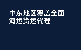 中东地区覆盖全面海运货运代理