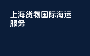 上海货物国际海运服务