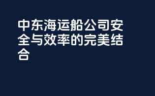 中东海运船公司：安全与效率的完美结合