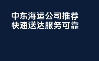 中东海运公司推荐：快速送达，服务可靠