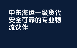 中东海运一级货代，安全可靠的专业物流伙伴