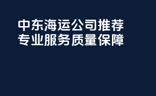 中东海运公司推荐：专业服务，质量保障