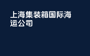 上海集装箱国际海运公司