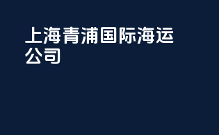 上海青浦国际海运公司