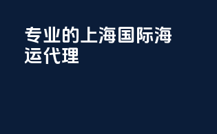 专业的上海国际海运代理