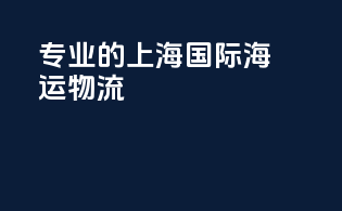 专业的上海国际海运物流
